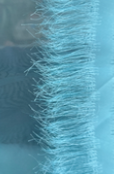 SPOLVERINO IN ORGANZA