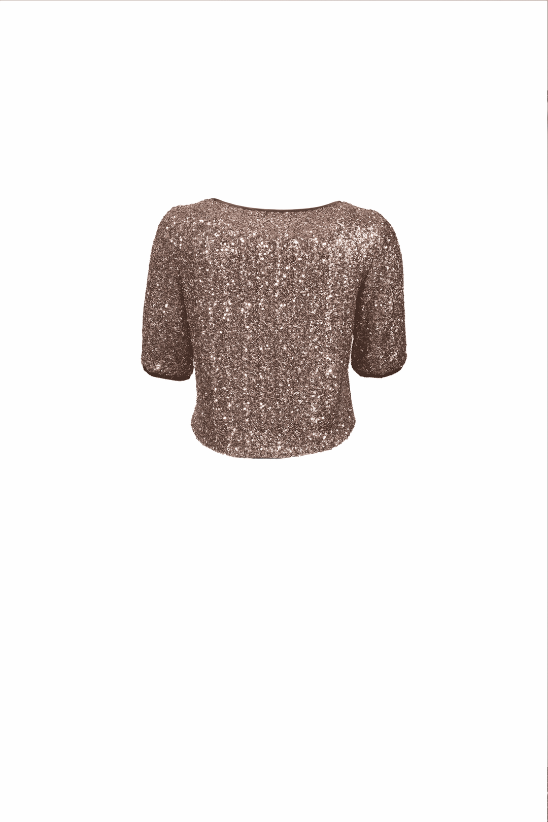 Sequined Crop Top with Silk Details